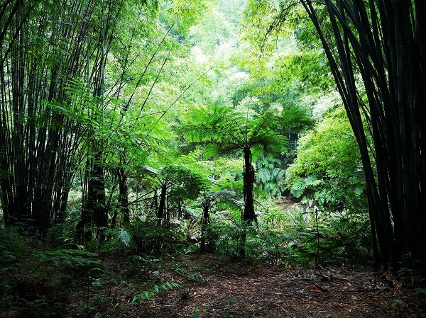 全国文艺工作者服务基层景区青年文旅活动在赤