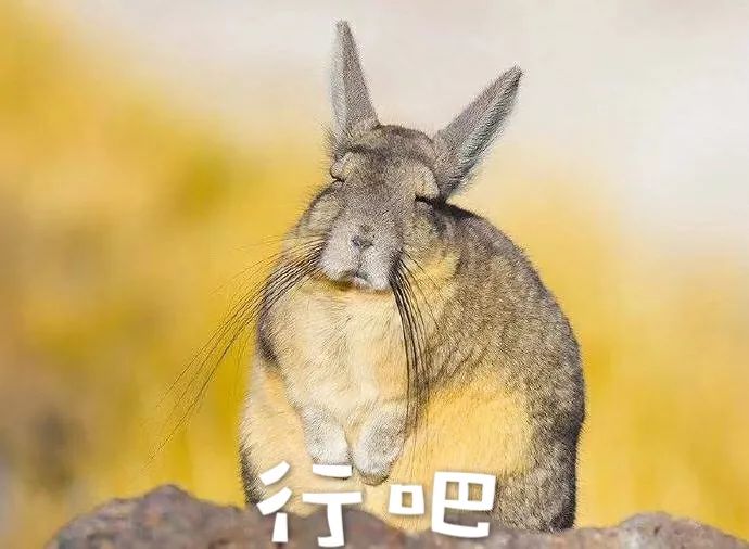 美图影像实验室MTlab揭秘美图V7无光拍照的秘密