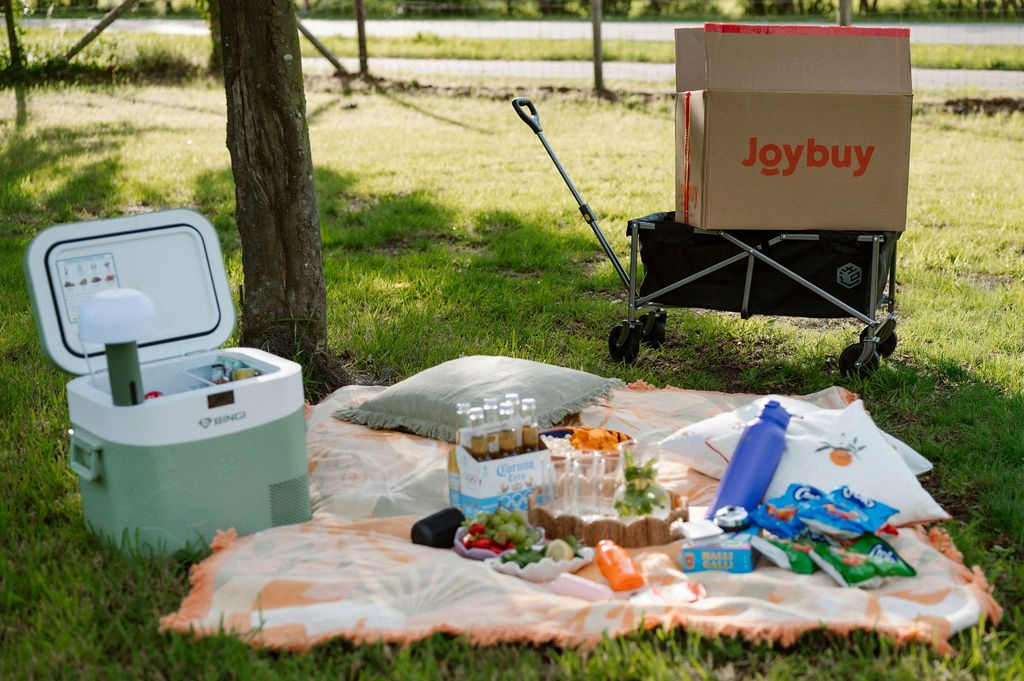 京东欧洲Joybuy“夏季黑五”收官：超1800个品牌成交额翻倍家电、数码品类增速领先(图3)