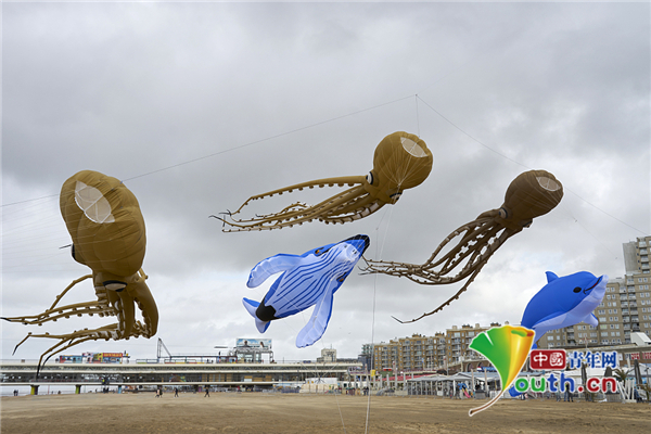 荷兰海牙举办国际风筝节