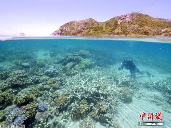 与海洋动物共眠！澳大利亚大堡礁开设首家水下酒店