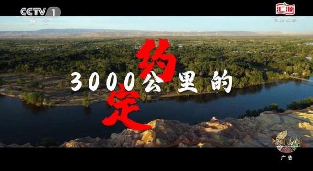 亮相第30届星空体育在线登录中国国际广告节《大国品牌》摘得18项大奖！(图4)