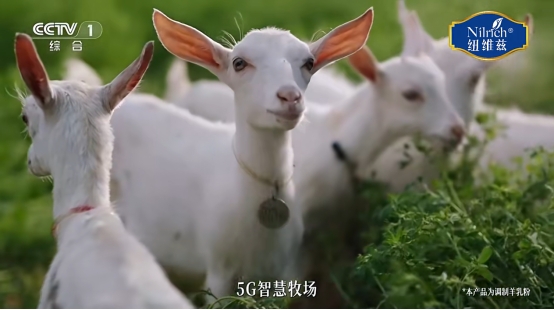 纽维兹羊奶在央视一套(CCTV-1)播出,开启全民换奶新消费