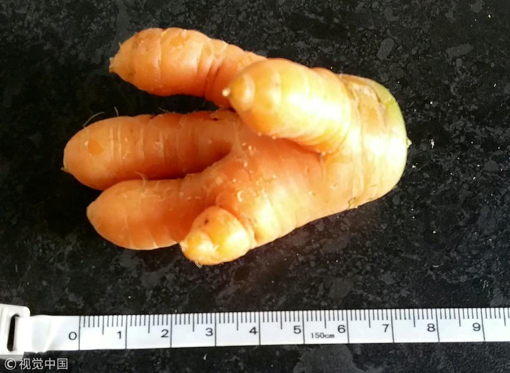 英国现超畸形胡萝卜吓坏菜农五指分明神似婴儿手掌