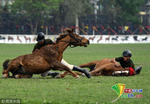 尼泊尔庆祝赛马节骑手骑马驰骋钻火圈