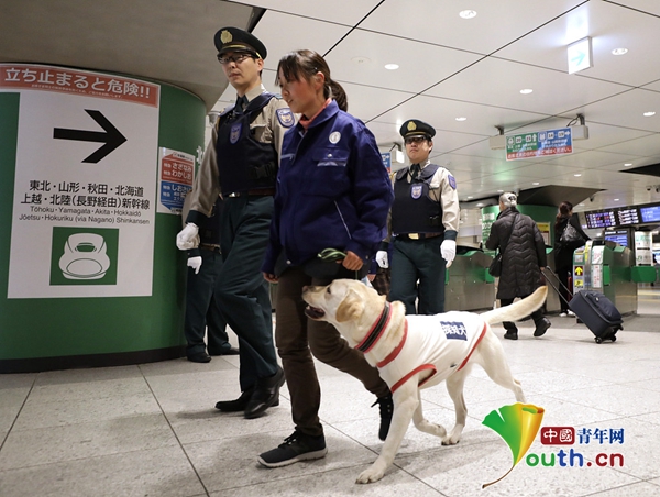 日本东京站引入警犬安检为年奥运会保驾护航 发现频道 中国青年网