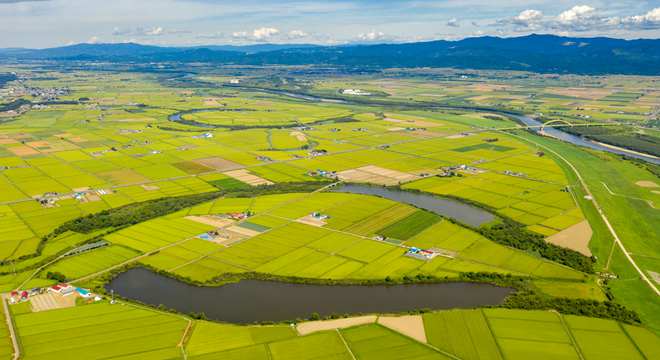(实习生高行健)据《科学》网站近日报道,来自加拿大罗格斯大学的海蒂