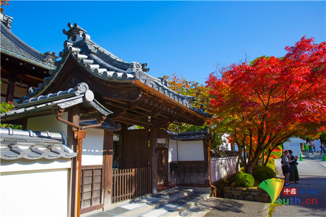 绝美秋色日本京都禅林寺红叶似火