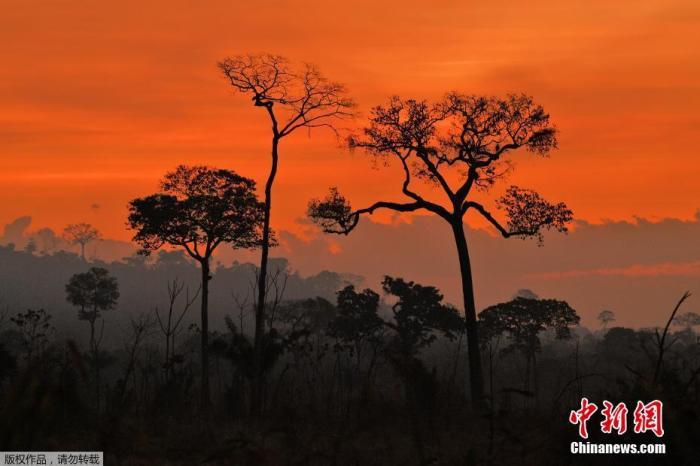 ����ͼ�����������������������ϵ����������ֱ������������֡�