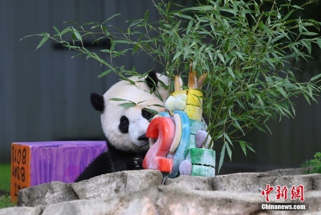 ����ʱ��8��21�գ���������è���̡�С�漣��ӭ�����������ա� <a target='_blank' href='/'><p  align=